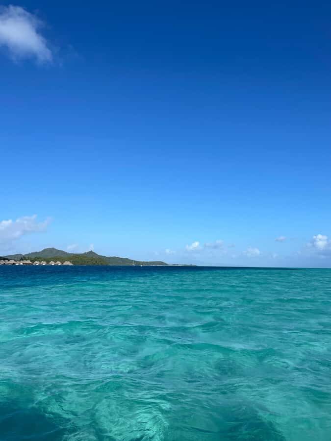 Bora Bora: Full day Lagoon Safari & Lunch on a Motu - ST - The manta ray chance: what is guaranteed vs what is luck