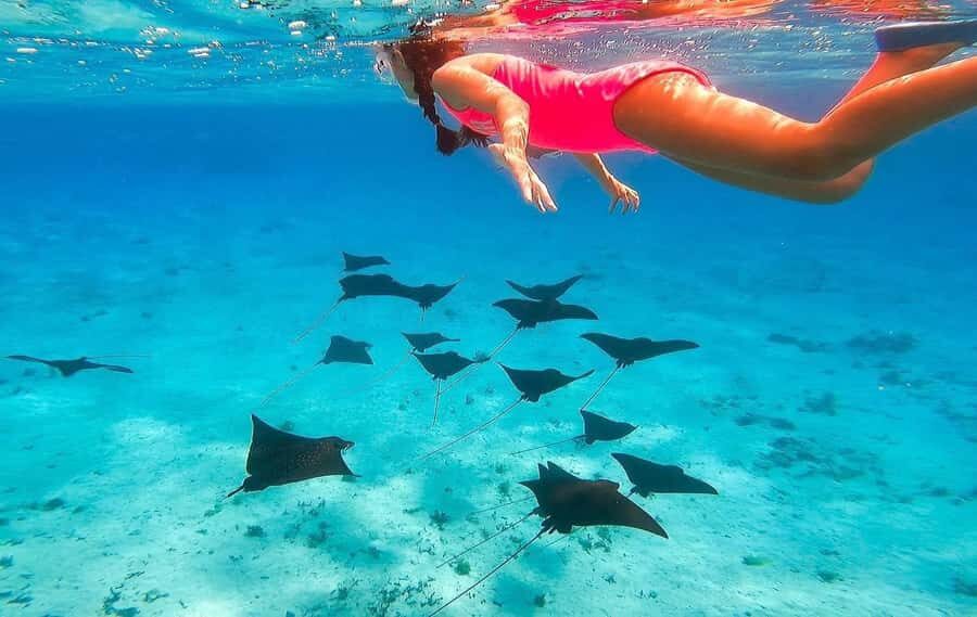 Bora Bora: Full day Lagoon Safari & Lunch on a Motu - ST - Boat cruising and lagoon views: why the travel time matters
