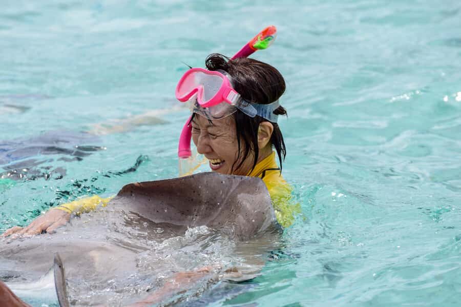 Bora Bora: Full-Day Lagoon Snorkelling Tour - The ray-and-fish segment: shallow water, up-close wildlife