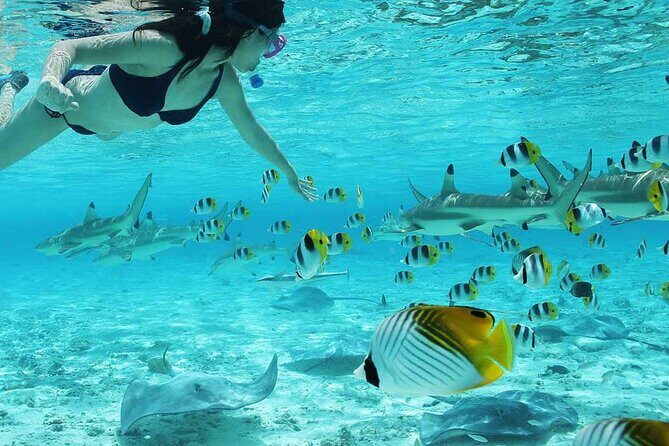 Bora Bora Full Day Snorkeling with Lunch - Anau manta-ray stop: watching giants without chasing them