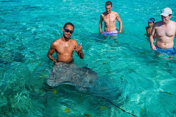 Bora Bora Full Day Snorkeling with Lunch - Shark and ray safari in the lagoon: safe swimming beats bravado