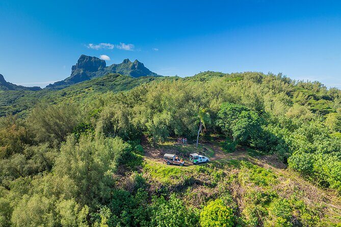 Bora Bora Half Day 4X4 Island Safari Tours - WWII-Era Guns and Other Heritage Stops: Learning Without a Museum Vibe