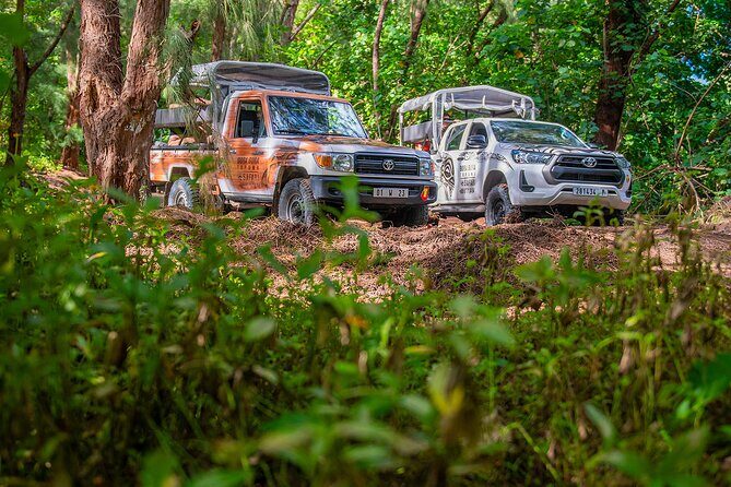 Bora Bora Half Day 4X4 Island Safari Tours - Hotel Pickup to Jeep Trails: How the Small-Group Safari Runs