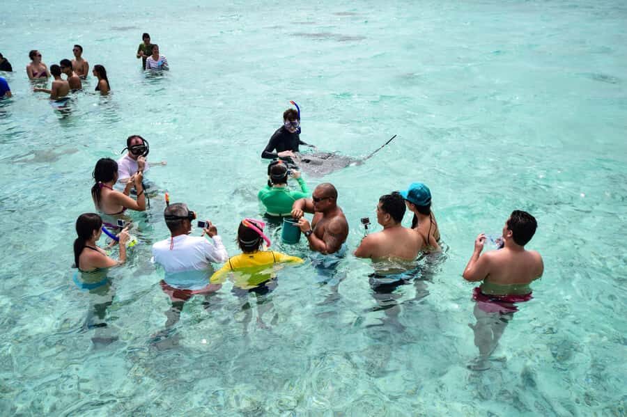 Bora Bora: Half-Day Lagoon Snorkelling Tour - Key points before you go
