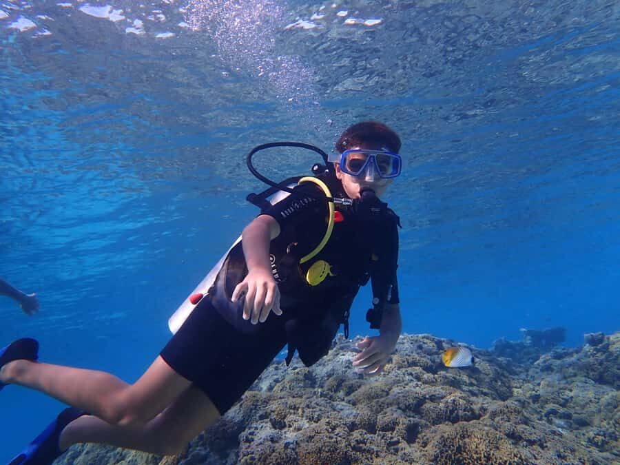 Bora Bora: Introductory Dive - A short, supportive first scuba session in Bora Bora’s lagoon