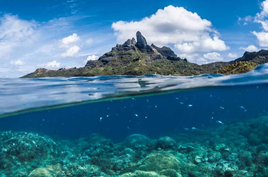Bora Bora: Introductory Dive - Who this is best for (and who should skip it)