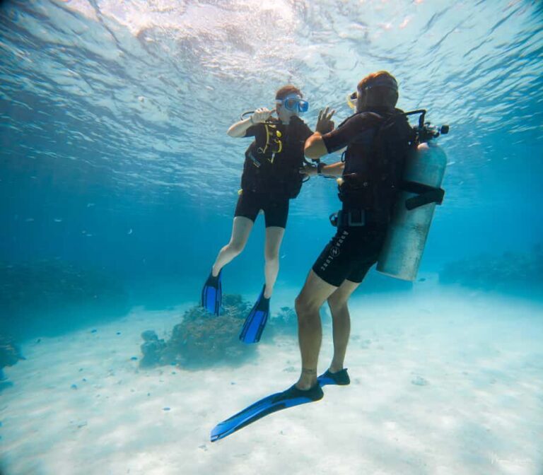 Bora Bora: Introductory Dive - Getting to the water: pickup that keeps your day simple