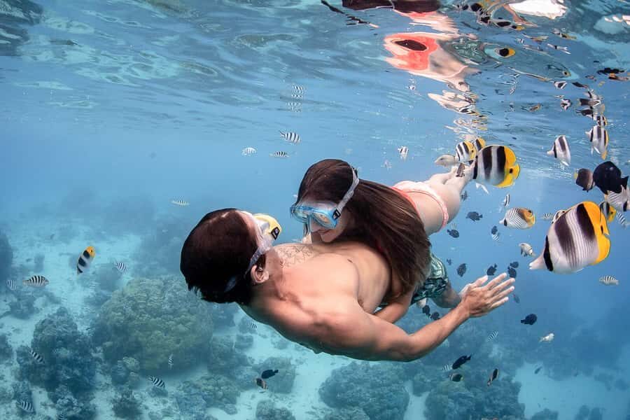 Bora Bora: Jet Ski, Lunch & Shark/ Ray Safari - Value check: is $295 per person worth it?
