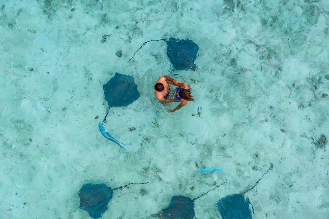 Bora Bora Jet Ski Tour, & Eco Shark / Ray Snorkel Cruise - Coconut Stop and Lunch at Lucky House Fare Manuia