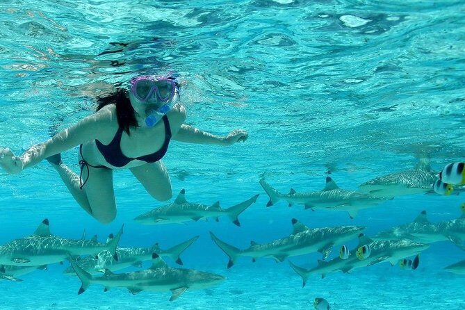Bora Bora Jet Ski Tour, & Eco Shark / Ray Snorkel Cruise - Reef Shark and Stingray Snorkeling: Where You Get the Up-Close Magic