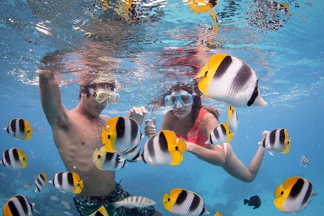 Bora Bora Jet Ski Tour, & Eco Shark / Ray Snorkel Cruise - The Split Plan: Boat Safari for Sharks and Rays, Then Jet Ski Riding