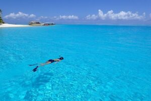 Bora Bora Lagoon Snorkeling Tour by Private Boat - Stop 1: Starting with H2O Bora Bora and setting your snorkel targets