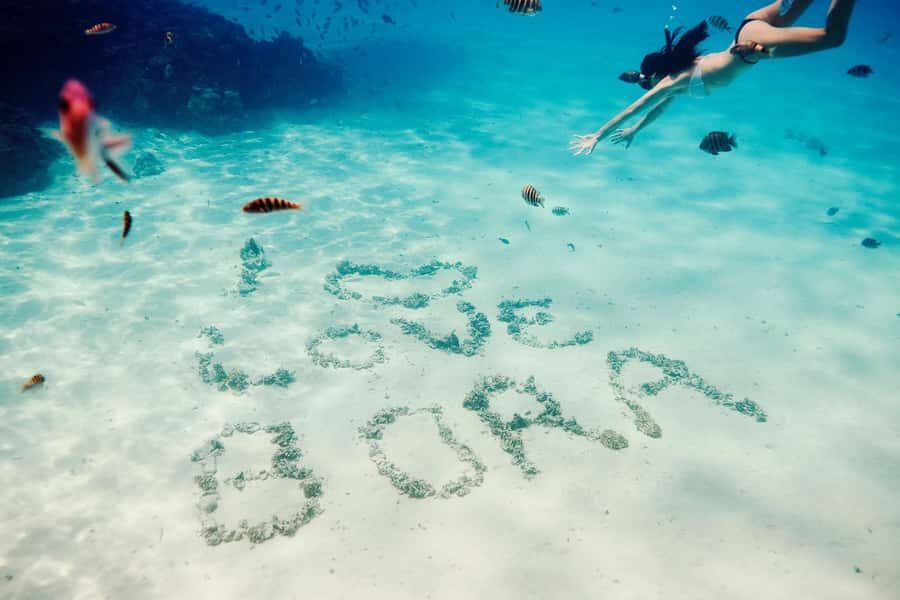 Bora Bora: Lagoon Tour and Snorkeling Experience - Why the guide matters more than the animals