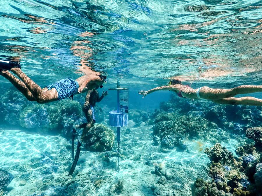 Bora Bora: Lagoon Tour and Snorkeling Experience - The sandbank snack stop: coconut bread, fruit, and Mount Otemanu views