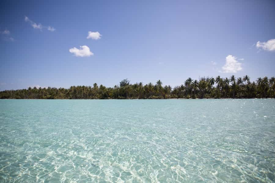 Bora Bora: Lagoon Tour and Snorkeling Experience - What to bring so the day feels easy