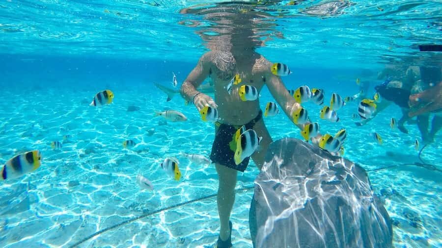 Bora Bora: Lagoon Tour and Snorkeling Experience - Safety and comfort: shallow water, life vests, and a certified guide nearby