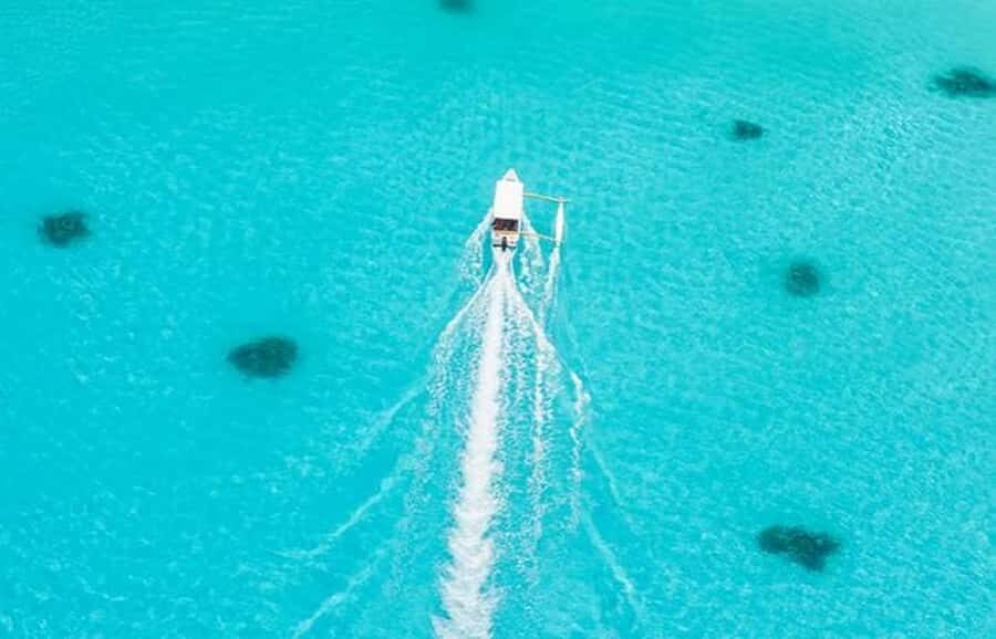 Bora Bora: Lagoon Tour and Snorkeling Experience - Who this lagoon tour is best for