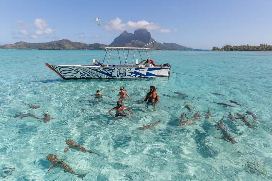 Bora Bora: Lagoon Tour and Snorkeling Experience - My booking verdict: should you book this Bora Bora lagoon tour?