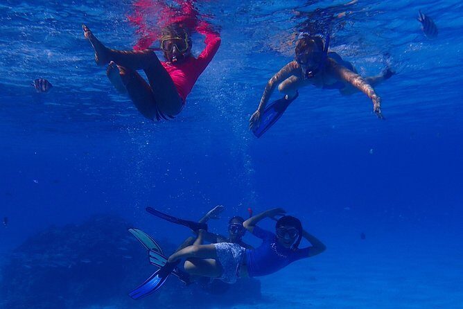 Bora Bora: Luxury Private Half Day Snorkeling Tour - Price and value: $780 per group up to 4