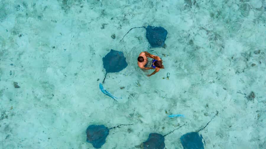 Bora Bora Luxury Tour and Beach Picnic - A few practical notes before you go