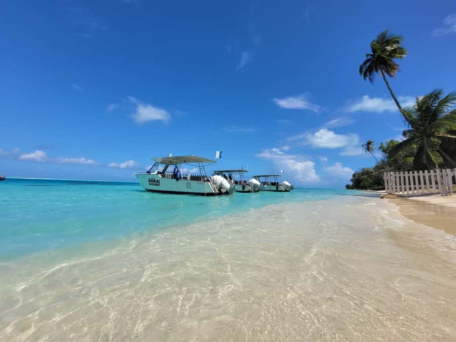 Bora Bora: Morning 2 tank dive for certified divers - The best part: a small, efficient morning plan