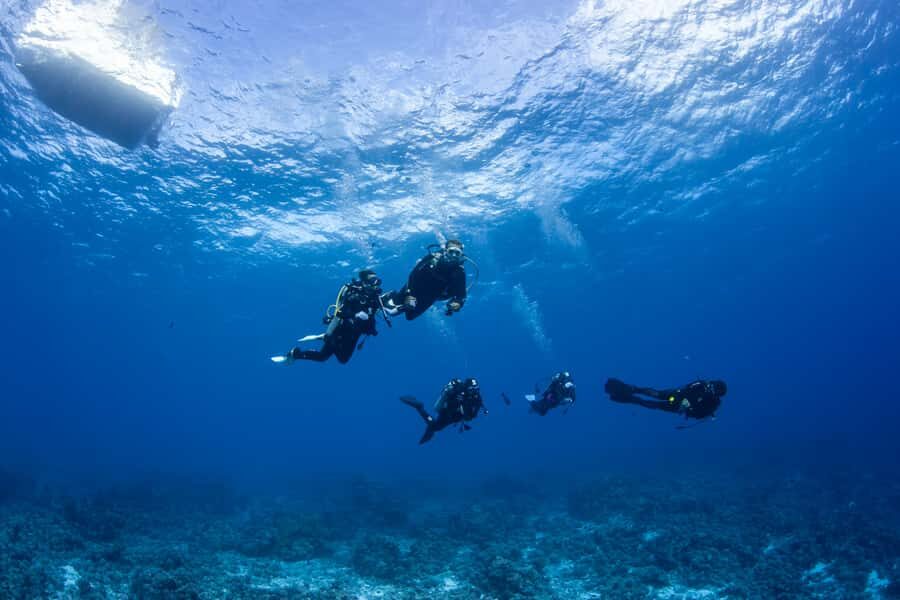 Bora Bora: Morning 2 tank dive for certified divers - Small group structure: why the guide attention feels better