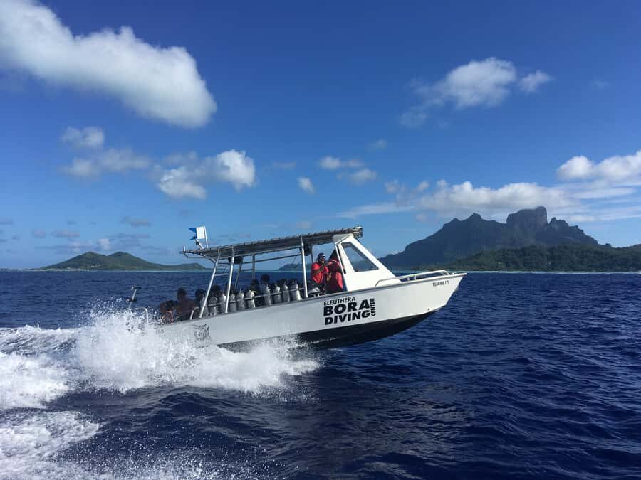 Bora Bora: Morning 2 tank dive for certified divers - Who this is best for (and who should skip it)