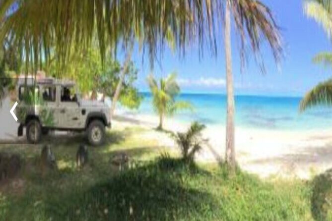 Bora Bora Off-Road Sightseeing Tour - Price and value: what $148.94 buys you here