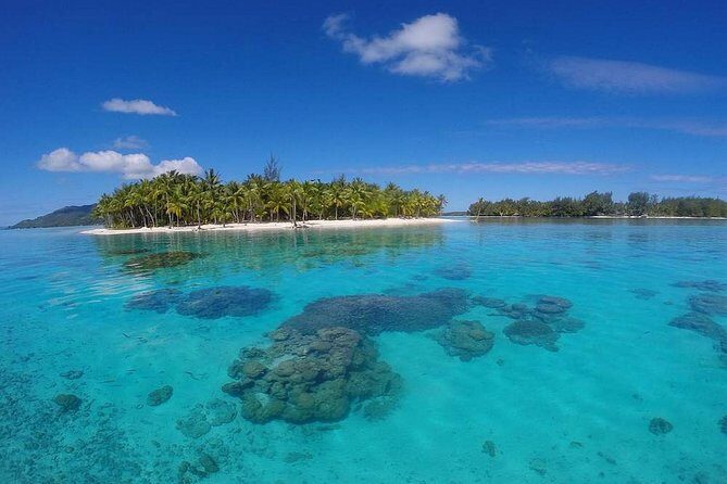 Bora Bora Private Lagoon Tours - Snorkeling gear included: what you actually need to enjoy the lagoon