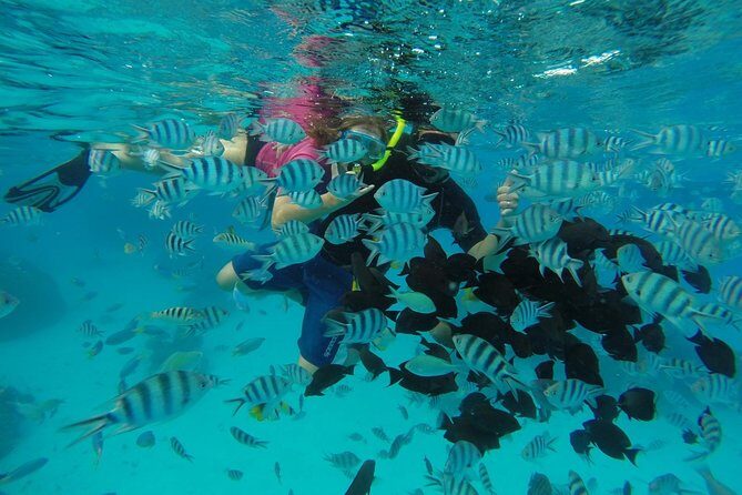 Bora Bora Private Lagoon Tours - Your own captain and boat: pace, privacy, and better choices