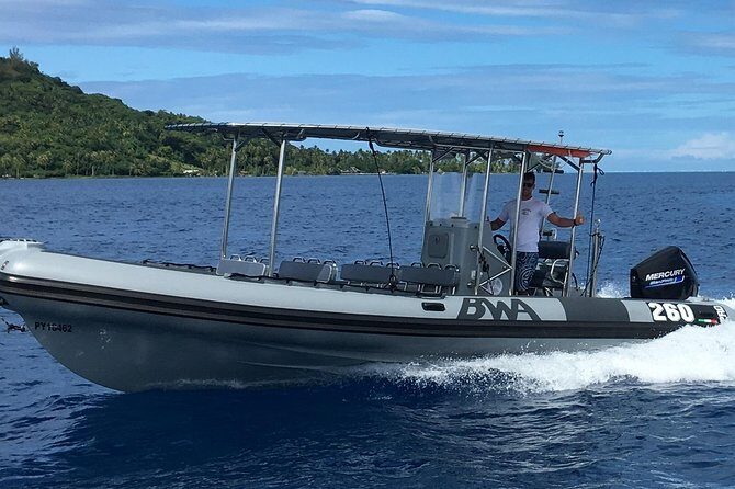 Bora Bora Whale Watching - Comfort details that make a 3.5-hour outing easier