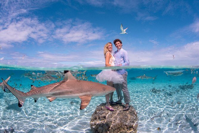 Combo Diving and Snorkeling Full Day Tour - No Crowds in the Water: The Real Value of a Private Boat