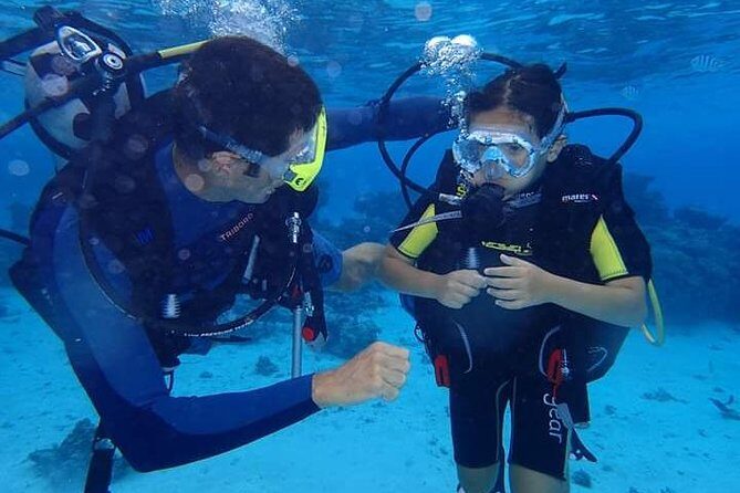 Combo Diving and Snorkeling Half-Day Tour - Key things I’d plan around