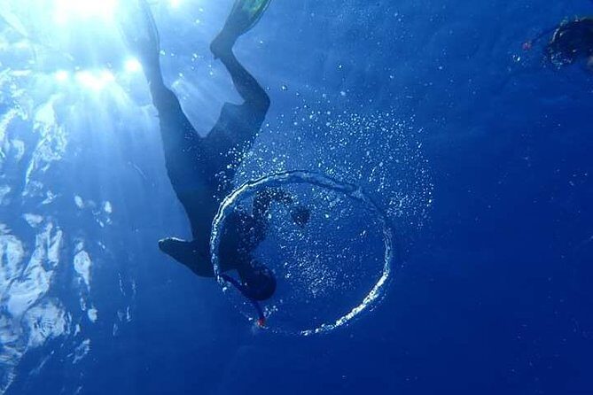 Combo Diving and Snorkeling Half-Day Tour - Should you book this Bora Bora combo tour?