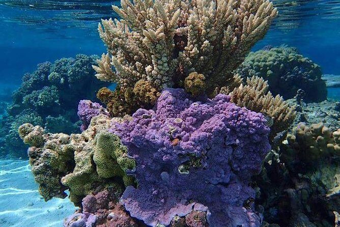 Combo Diving and Snorkeling Half-Day Tour - How the 3.5-hour format plays out on the water