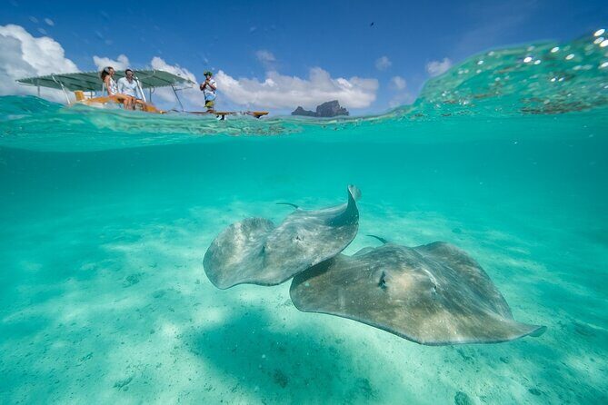 Combo snorkeling + motu lunch + jet ski group tour full day - Why This Combo Tour Works in Bora Bora’s Lagoon