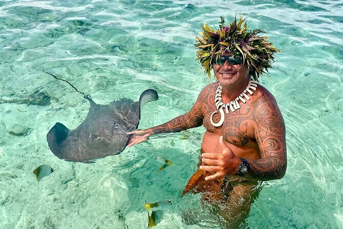 Crazyseahorseborabora Comfortable boat , sensational snorkeling . - Quick hits before you go