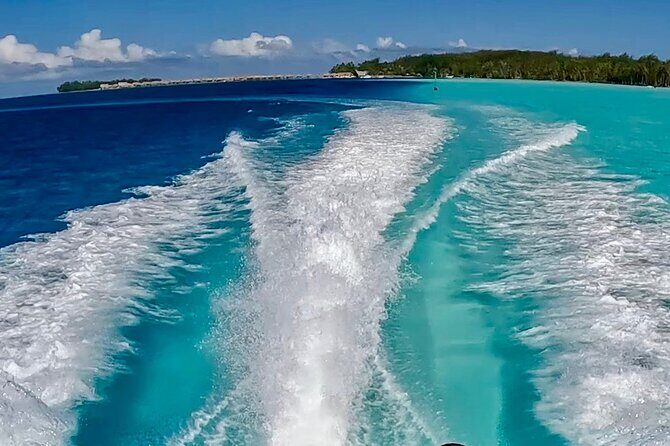 Crazyseahorseborabora Comfortable boat , sensational snorkeling . - Guides Tu and Mo: getting you to the best spots