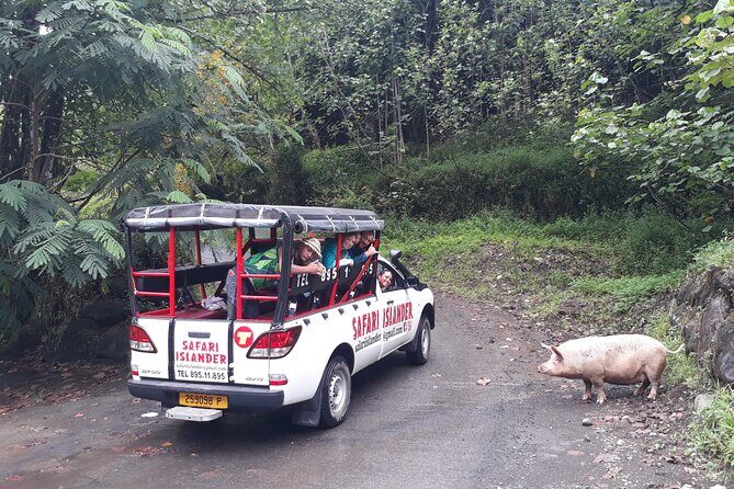 Crossing Island of Tahiti 4x4 Mountain, Waterfall, River, Basins - Waterfalls, river fords, and natural swimming basins
