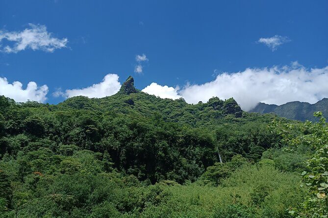Découvrez le Mana durant la traversée de Tahiti en 4x4 Safari - Price and value at $140.44 per person