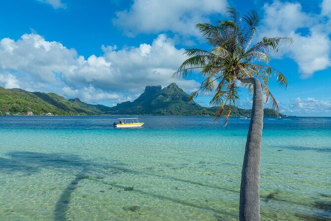 Discover the black pearl in Bora Bora - Choosing Your Oyster Like a Treasure Hunt (With a Safety Net)
