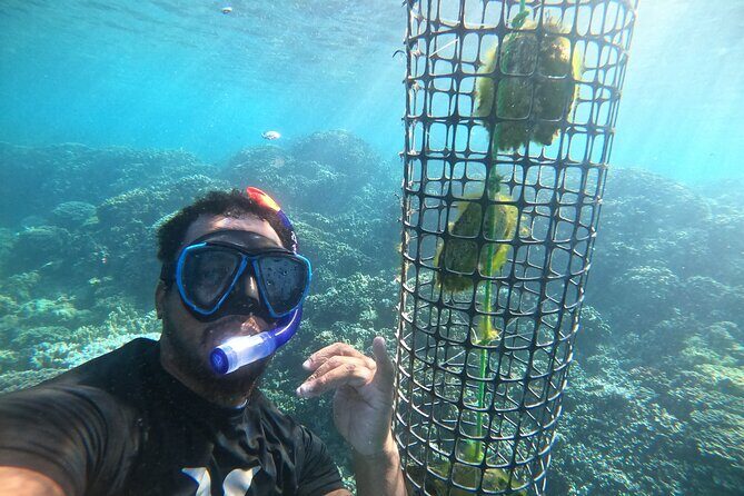 Discover the black pearl in Bora Bora - Opening the Oysters on Motu Taufarii: The Moment the Price Makes Sense