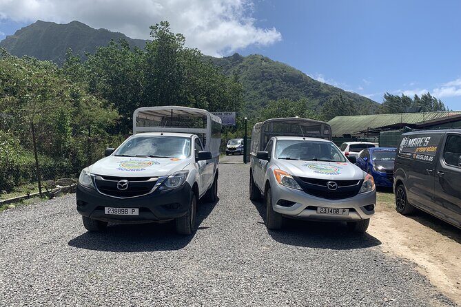 Discovering Moorea from Tahiti in 4x4 with the Ferry Terevau - Manutea Tahiti Pineapple Factory: How Queen Fruit Becomes Real Products