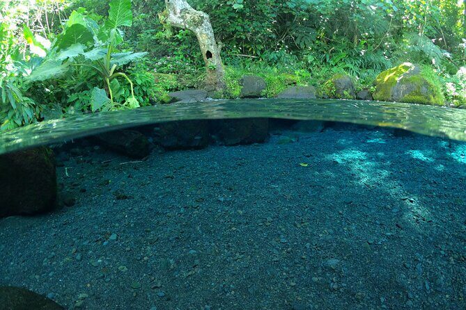 Discovering the emblematic sites of Tahiti - Arahoho Blowhole (Trou du souffleur): timing the wave for the loudest moment