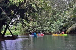 Discovery in Kayaking of the Faaroa River in Raiatea - Time on the water: what 2 hours 30 minutes really means