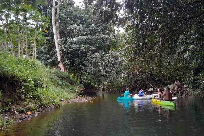 Discovery in Kayaking of the Faaroa River in Raiatea - The kayaks: comfort first, especially for back pain