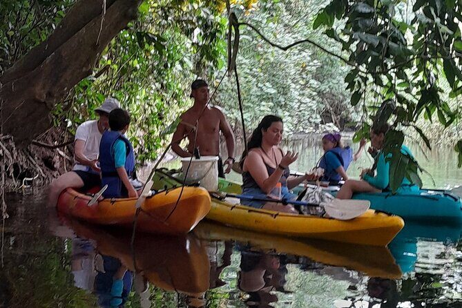 Discovery in Kayaking of the Faaroa River in Raiatea - How hard is it? Fitness level and weather reality checks