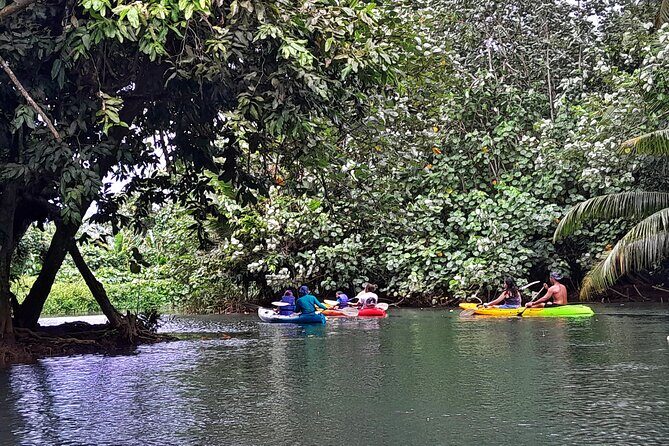 Discovery in Kayaking of the Faaroa River in Raiatea - Time on the water: what 2 hours 30 minutes really means