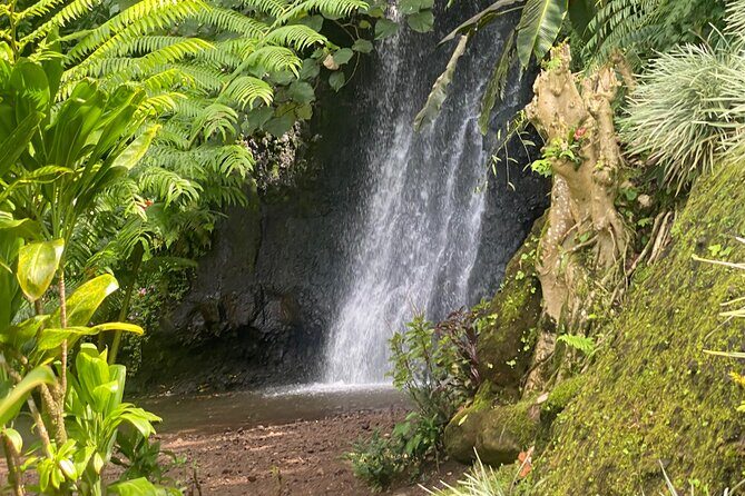 Discovery of Tahiti Nui Island - Key highlights you’ll actually notice