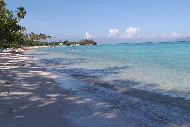 Discovery of Tahiti Nui Island - Te Fare Iamanaha Museum: the cultural “why” behind the views